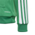 Sudadera con capucha de fútbol adidas Squadra 21 K Green/White