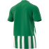 Camiseta de fútbol adidas Striped 21 M Green/White
