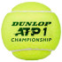 Pelota de tenis Dunlop ATP Championship YW