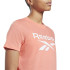 Camiseta Sportswear Reebok Identity Logo